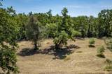 22425 Whipple Tree Lane - Photo 6