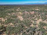 16300 Ranchero Drive - Photo 14