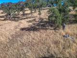 16300 Ranchero Drive - Photo 6
