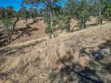 16300 Ranchero Drive - Photo 7