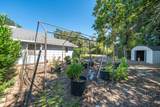 3425 Silverwood Street - Photo 53