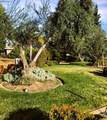 835 Santa Cruz Drive - Photo 7