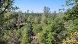 18135 Brincat Manor Road - Photo 11