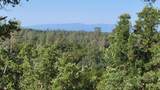 18135 Brincat Manor Road - Photo 12