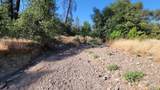 18135 Brincat Manor Road - Photo 5