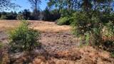 18135 Brincat Manor Road - Photo 8