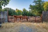 19880 1st Street - Photo 62