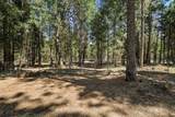 8238 Starlite Pines Road - Photo 24
