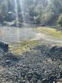 16925 Walker Mine Road - Photo 1