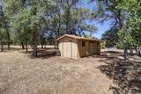 13074 Fernie Way - Photo 57