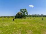 16857 Gas Point Road - Photo 7