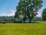16857 Gas Point Road - Photo 8