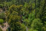  Dog Creek Rd - Photo 10
