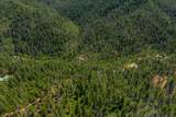  Dog Creek Rd - Photo 11