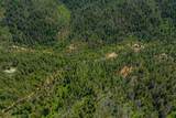  Dog Creek Rd - Photo 12