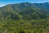  Dog Creek Rd - Photo 13
