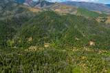  Dog Creek Rd - Photo 16