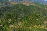  Dog Creek Rd - Photo 17