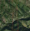  Dog Creek Rd - Photo 4
