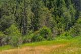  Dog Creek Rd - Photo 5