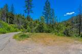  Dog Creek Rd - Photo 6