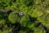  Dog Creek Rd - Photo 7