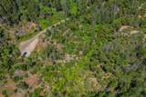  Dog Creek Rd - Photo 8