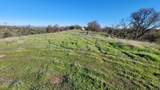 14485 Small Farms Road - Photo 43