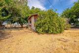 20050 Plains Drive - Photo 106