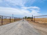 20050 Plains Drive - Photo 14
