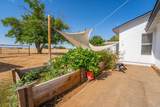 20050 Plains Drive - Photo 64