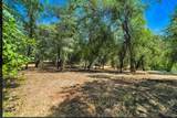 19759 Sweetwater Trail - Photo 43
