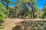 19759 Sweetwater Trail - Photo 46