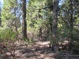 2.5 acres Sky Tree Lane - Photo 11