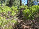 2.5 acres Sky Tree Lane - Photo 12