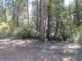 2.5 acres Sky Tree Lane - Photo 3