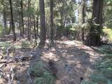 2.5 acres Sky Tree Lane - Photo 4