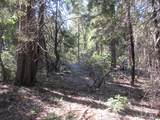 2.5 acres Sky Tree Lane - Photo 5