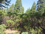 2.5 acres Sky Tree Lane - Photo 7