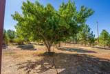 21415 Ponderosa Way - Photo 36