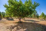21415 Ponderosa Way - Photo 37