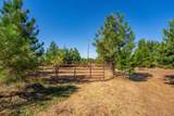21415 Ponderosa Way - Photo 39