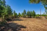 21415 Ponderosa Way - Photo 40