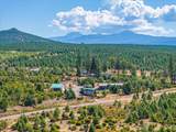 21415 Ponderosa Way - Photo 71
