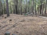 8681 Savannah Way - Photo 9