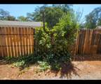 5160 Fort Peck Street - Photo 10