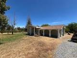 10293 Candy Cane Lane - Photo 10