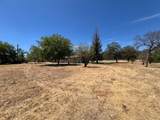10293 Candy Cane Lane - Photo 14