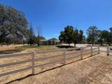10293 Candy Cane Lane - Photo 22