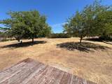 10293 Candy Cane Lane - Photo 23